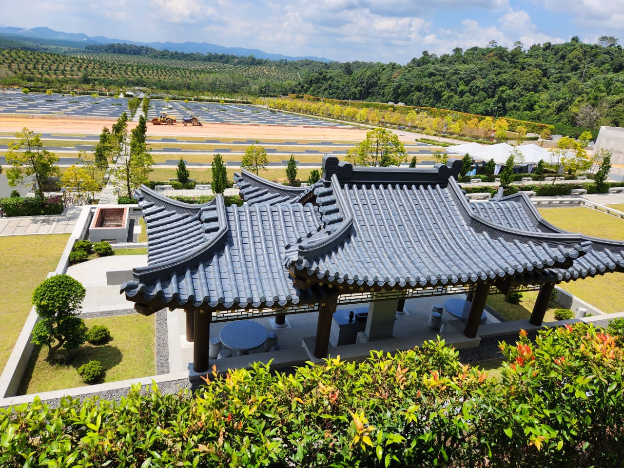 Zone Majestic Super Family Lot 12