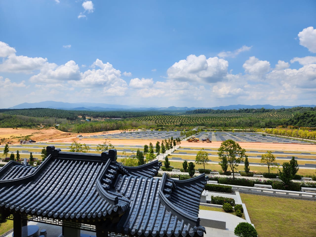 Zone Majestic Super Family Lot 9